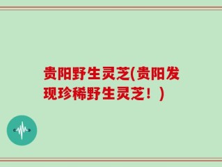 贵阳野生灵芝(贵阳发现珍稀野生灵芝！)