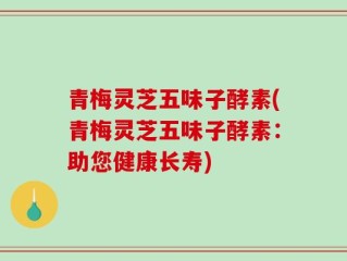 青梅灵芝五味子酵素(青梅灵芝五味子酵素：助您健康长寿)
