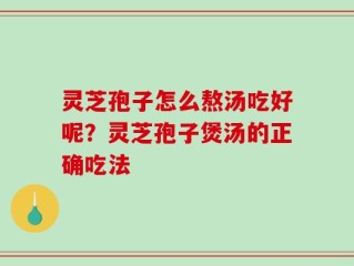 灵芝孢子怎么熬汤吃好呢？灵芝孢子煲汤的正确吃法