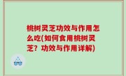 桃树灵芝功效与作用怎么吃(如何食用桃树灵芝？功效与作用详解)