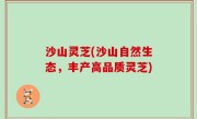 沙山灵芝(沙山自然生态，丰产高品质灵芝)