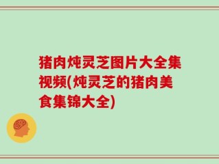 猪肉炖灵芝图片大全集视频(炖灵芝的猪肉美食集锦大全)