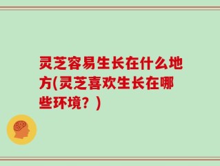 灵芝容易生长在什么地方(灵芝喜欢生长在哪些环境？)