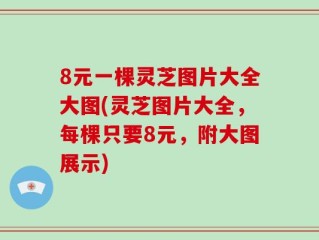 8元一棵灵芝图片大全大图(灵芝图片大全，每棵只要8元，附大图展示)