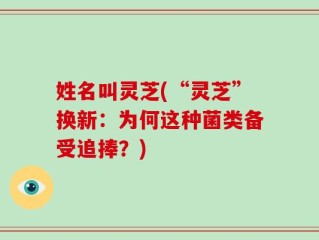 姓名叫灵芝(“灵芝”换新：为何这种菌类备受追捧？)