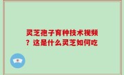 灵芝孢子育种技术视频？这是什么灵芝如何吃