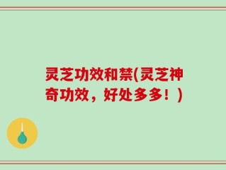 灵芝功效和禁(灵芝神奇功效，好处多多！)