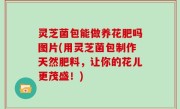 灵芝菌包能做养花肥吗图片(用灵芝菌包制作天然肥料，让你的花儿更茂盛！)