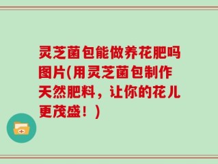 灵芝菌包能做养花肥吗图片(用灵芝菌包制作天然肥料，让你的花儿更茂盛！)
