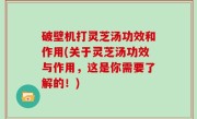 破壁机打灵芝汤功效和作用(关于灵芝汤功效与作用，这是你需要了解的！)