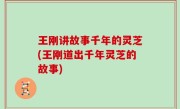 王刚讲故事千年的灵芝(王刚道出千年灵芝的故事)