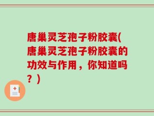 唐巢灵芝孢子粉胶囊(唐巢灵芝孢子粉胶囊的功效与作用，你知道吗？)