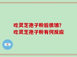 吃灵芝孢子粉后很饿？吃灵芝孢子粉有何反应