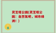 灵芝塔公园(灵芝塔公园：自然氧吧，城市绿洲！)