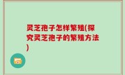 灵芝孢子怎样繁殖(探究灵芝孢子的繁殖方法)