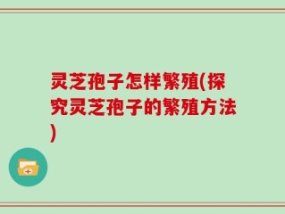 灵芝孢子怎样繁殖(探究灵芝孢子的繁殖方法)