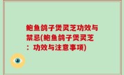 鲍鱼鸽子煲灵芝功效与禁忌(鲍鱼鸽子煲灵芝：功效与注意事项)