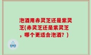 泡酒用赤灵芝还是紫灵芝(赤灵芝还是紫灵芝，哪个更适合泡酒？)