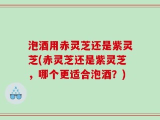 泡酒用赤灵芝还是紫灵芝(赤灵芝还是紫灵芝，哪个更适合泡酒？)