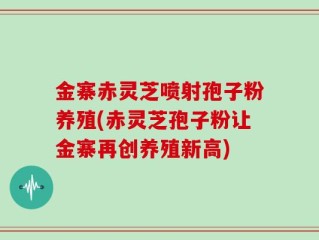 金寨赤灵芝喷射孢子粉养殖(赤灵芝孢子粉让金寨再创养殖新高)