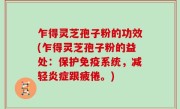 乍得灵芝孢子粉的功效(乍得灵芝孢子粉的益处：保护免疫系统，减轻炎症跟疲倦。)