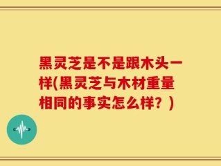 黑灵芝是不是跟木头一样(黑灵芝与木材重量相同的事实怎么样？)