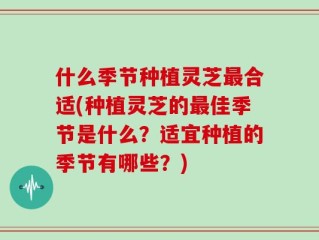 什么季节种植灵芝最合适(种植灵芝的最佳季节是什么？适宜种植的季节有哪些？)