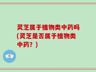 灵芝属于植物类中药吗(灵芝是否属于植物类中药？)