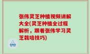 张伟灵芝种植视频讲解大全(灵芝种植全过程解析，跟着张伟学习灵芝栽培技巧)