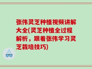 张伟灵芝种植视频讲解大全(灵芝种植全过程解析，跟着张伟学习灵芝栽培技巧)