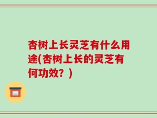 杏树上长灵芝有什么用途(杏树上长的灵芝有何功效？)