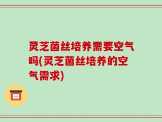 灵芝菌丝培养需要空气吗(灵芝菌丝培养的空气需求)