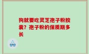 狗就要吃灵芝孢子粉胶囊？孢子粉的保质期多长