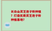 长白山灵芝孢子粉种植？打造优质灵芝孢子粉种植基地？