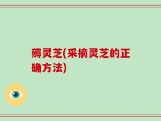 薅灵芝(采摘灵芝的正确方法)