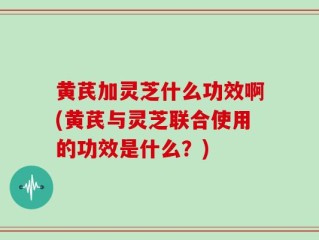 黄芪加灵芝什么功效啊(黄芪与灵芝联合使用的功效是什么？)