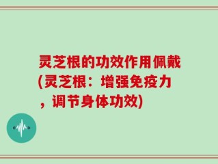 灵芝根的功效作用佩戴(灵芝根：增强免疫力，调节身体功效)