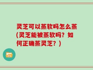 灵芝可以蒸软吗怎么蒸(灵芝能被蒸软吗？如何正确蒸灵芝？)
