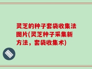 灵芝的种子套袋收集法图片(灵芝种子采集新方法，套袋收集术)