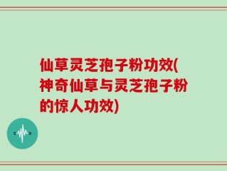 仙草灵芝孢子粉功效(神奇仙草与灵芝孢子粉的惊人功效)