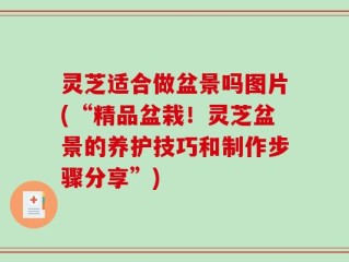 灵芝适合做盆景吗图片(“精品盆栽！灵芝盆景的养护技巧和制作步骤分享”)