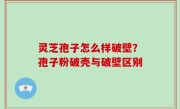 灵芝孢子怎么样破壁？孢子粉破壳与破壁区别