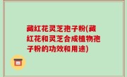 藏红花灵芝孢子粉(藏红花和灵芝合成植物孢子粉的功效和用途)