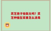 灵芝孢子怕氧化吗？灵芝种植在家里怎么消毒