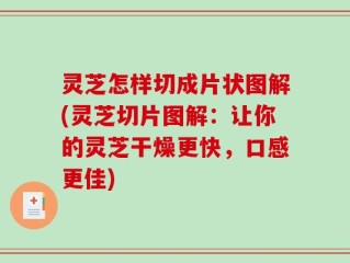 灵芝怎样切成片状图解(灵芝切片图解：让你的灵芝干燥更快，口感更佳)