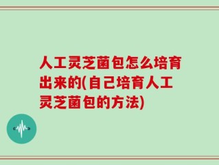 人工灵芝菌包怎么培育出来的(自己培育人工灵芝菌包的方法)