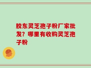 胶东灵芝孢子粉厂家批发？哪里有收购灵芝孢子粉