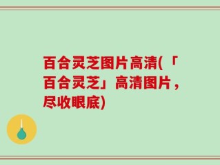 百合灵芝图片高清(「百合灵芝」高清图片，尽收眼底)
