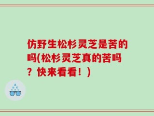 仿野生松杉灵芝是苦的吗(松杉灵芝真的苦吗？快来看看！)