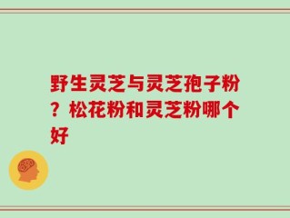 野生灵芝与灵芝孢子粉？松花粉和灵芝粉哪个好